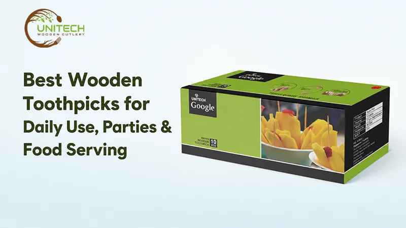 Best Wooden Toothpicks For Daily Use Parties Food Serving