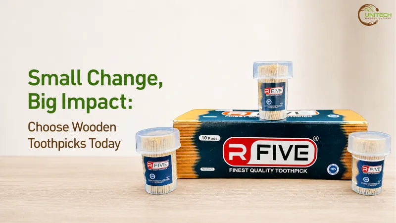 Small Change Big Impact Choose Wooden Toothpicks Today