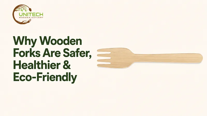 Why Wooden Forks Are Safer Healthier Eco Friendly