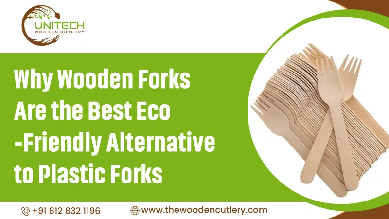 Why Wooden Forks Best Eco Friendly Alternative Plastic Forks
