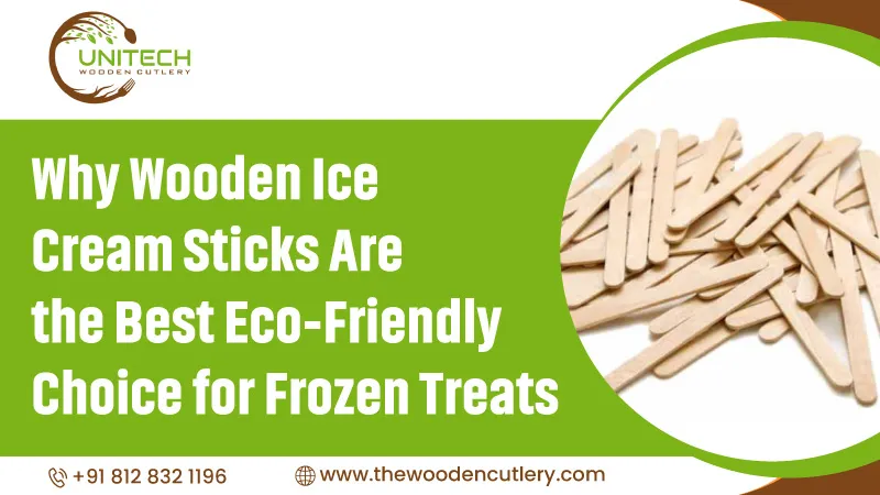 Why Wooden Ice Cream Sticks Best Eco Friendly Choice Frozen Treats