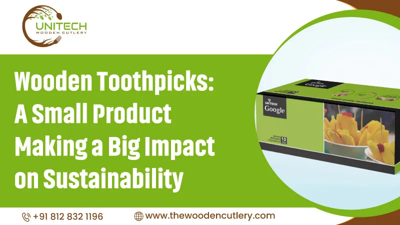 Wooden Toothpicks Small Product Big Sustainability Impact